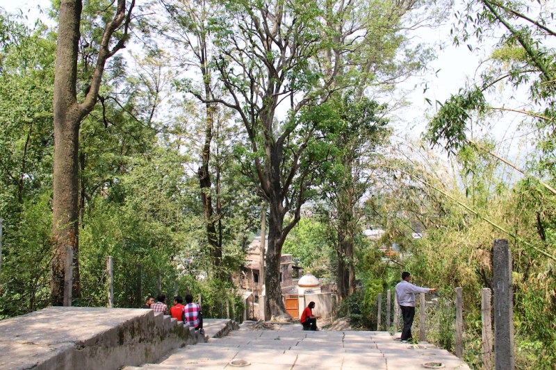 Young Nepalis enjoying the isolation of the steps